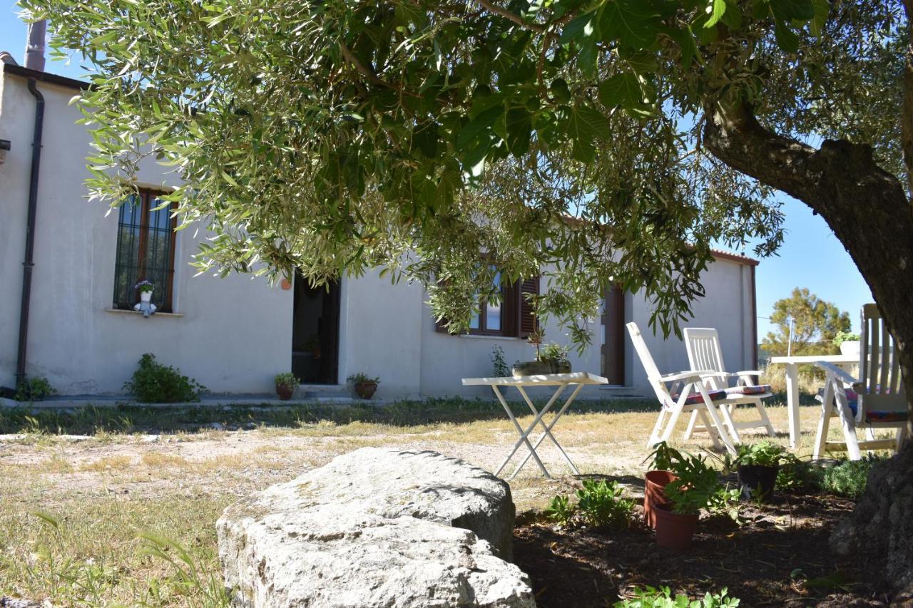 Su Cuile Historical Country House With Barbecue Martis Esterno foto
