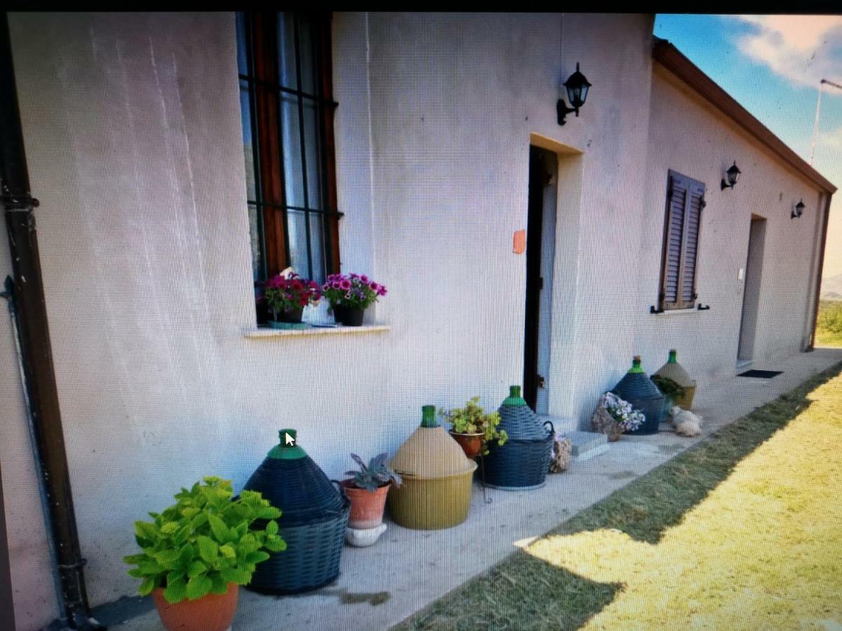 Su Cuile Historical Country House With Barbecue Martis Esterno foto