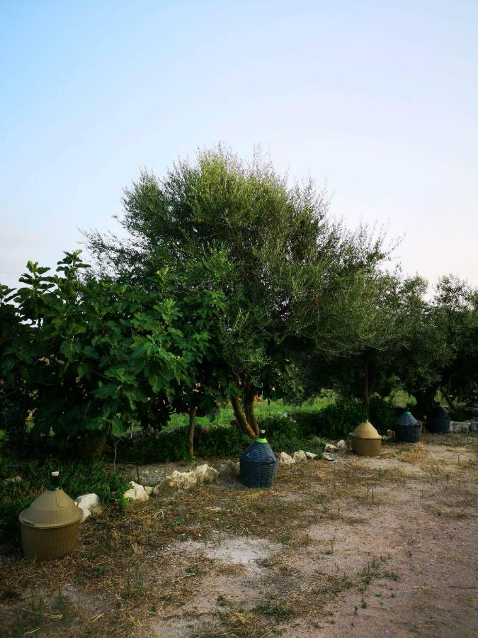 Su Cuile Historical Country House With Barbecue Martis Esterno foto